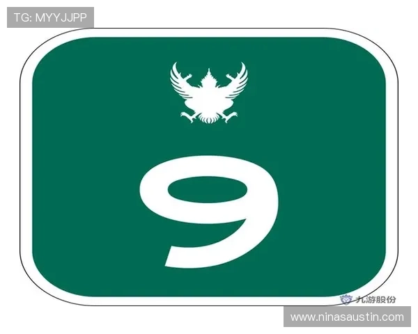 九游网站入口官网官方入口安全登录指南，保障用户账号信息安全